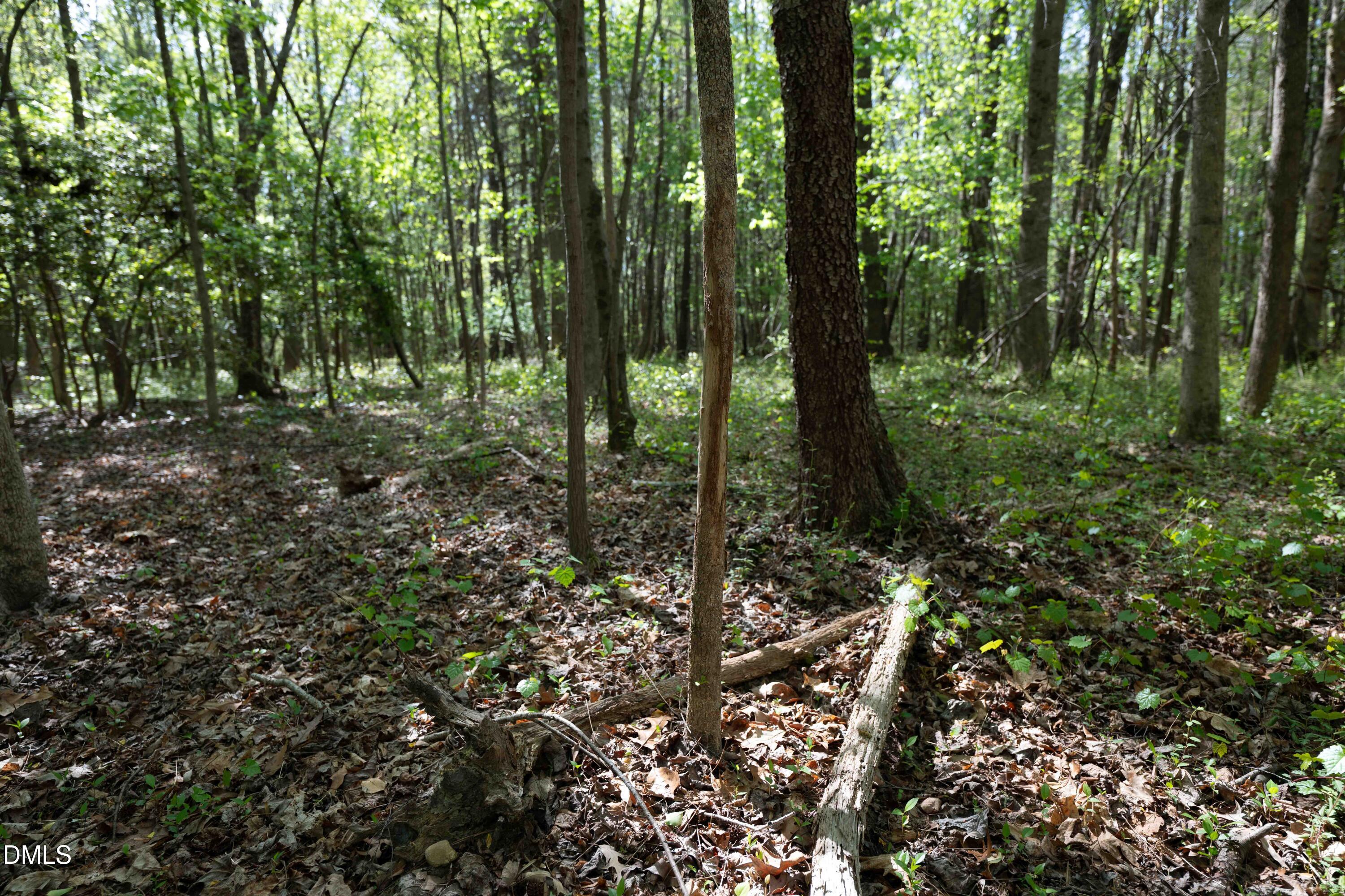 0 Bayles Road Lillington, NC 27546 - Photo 22 of 29 a view of outdoor space and green space