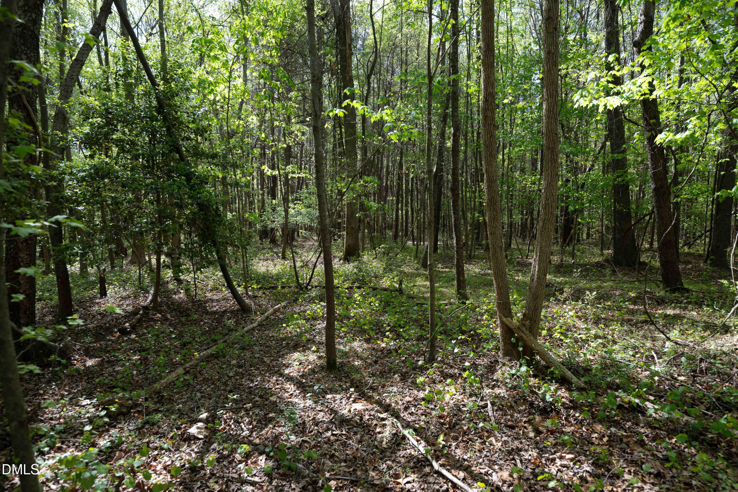 0 Bayles Road Lillington, NC 27546 - Photo 23 of 29 a view of forest