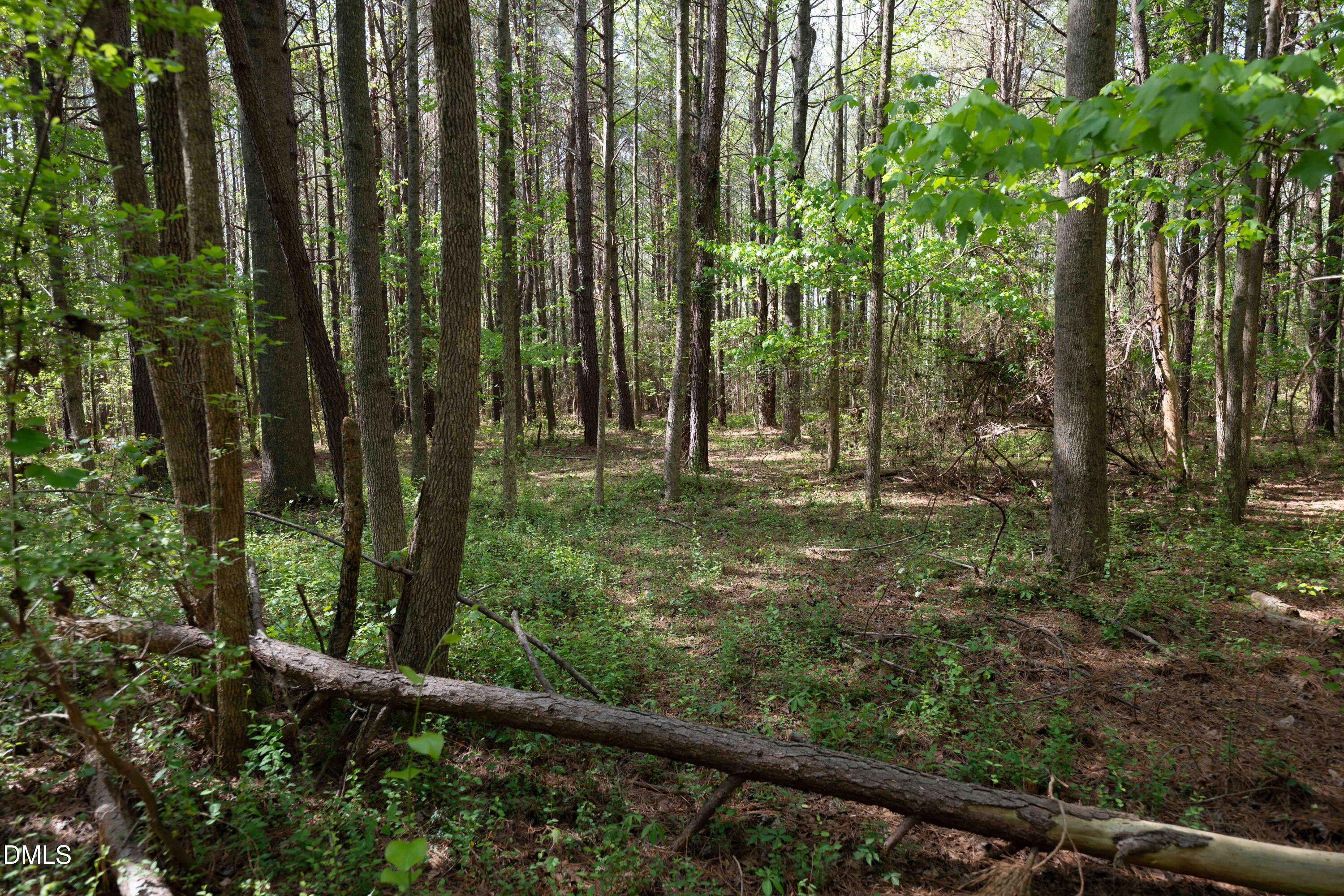 0 Bayles Road Lillington, NC 27546 - Photo 25 of 29 a view of outdoor space with green field and trees