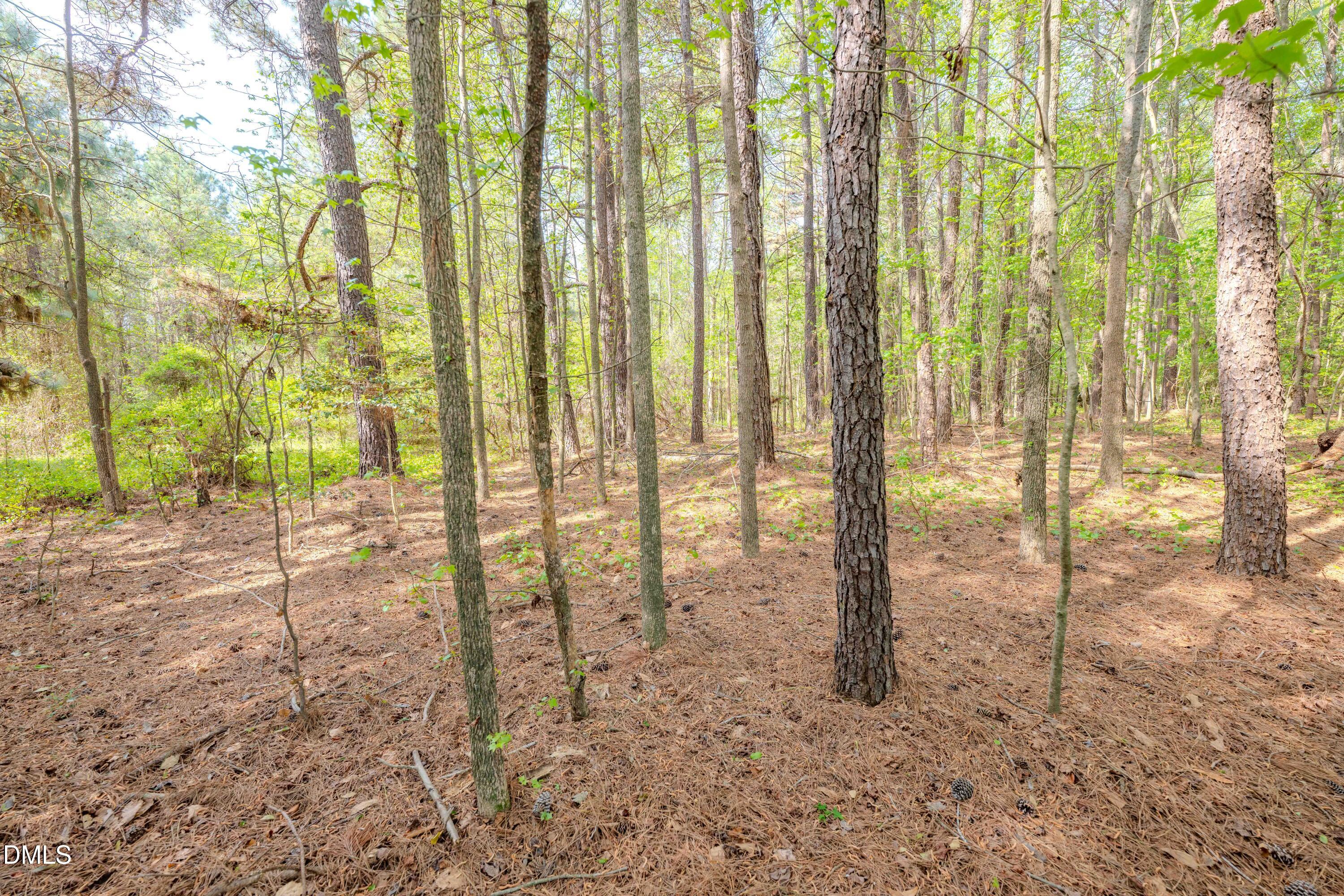 0 Bayles Road Lillington, NC 27546 - Photo 26 of 29 a view of empty room with window