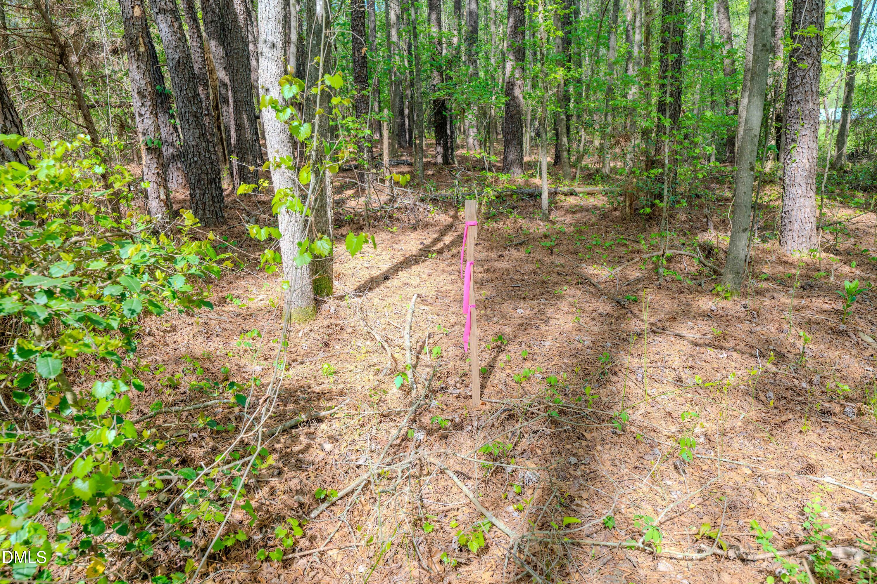 0 Bayles Road Lillington, NC 27546 - Photo 27 of 29 a view of backyard with green space