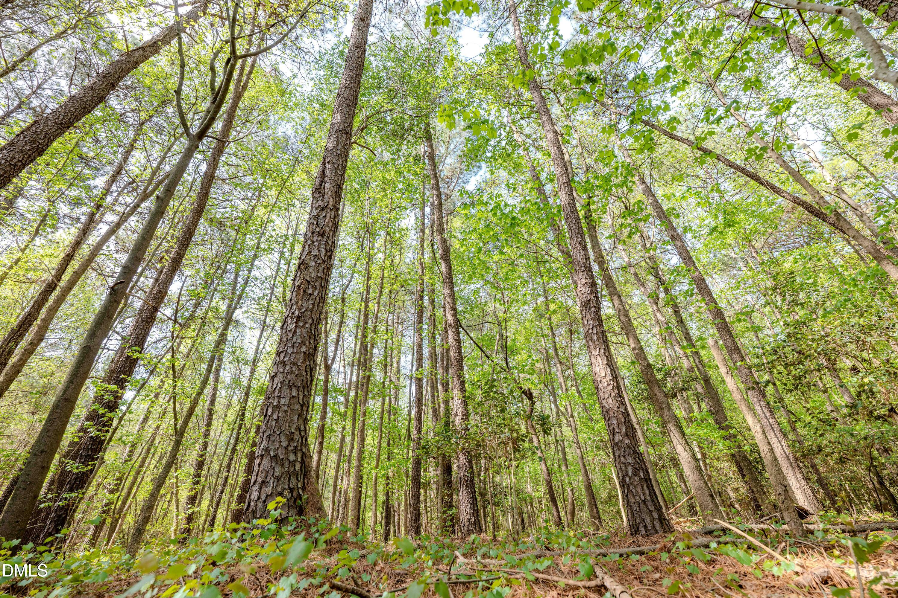 0 Bayles Road Lillington, NC 27546 - Photo 28 of 29