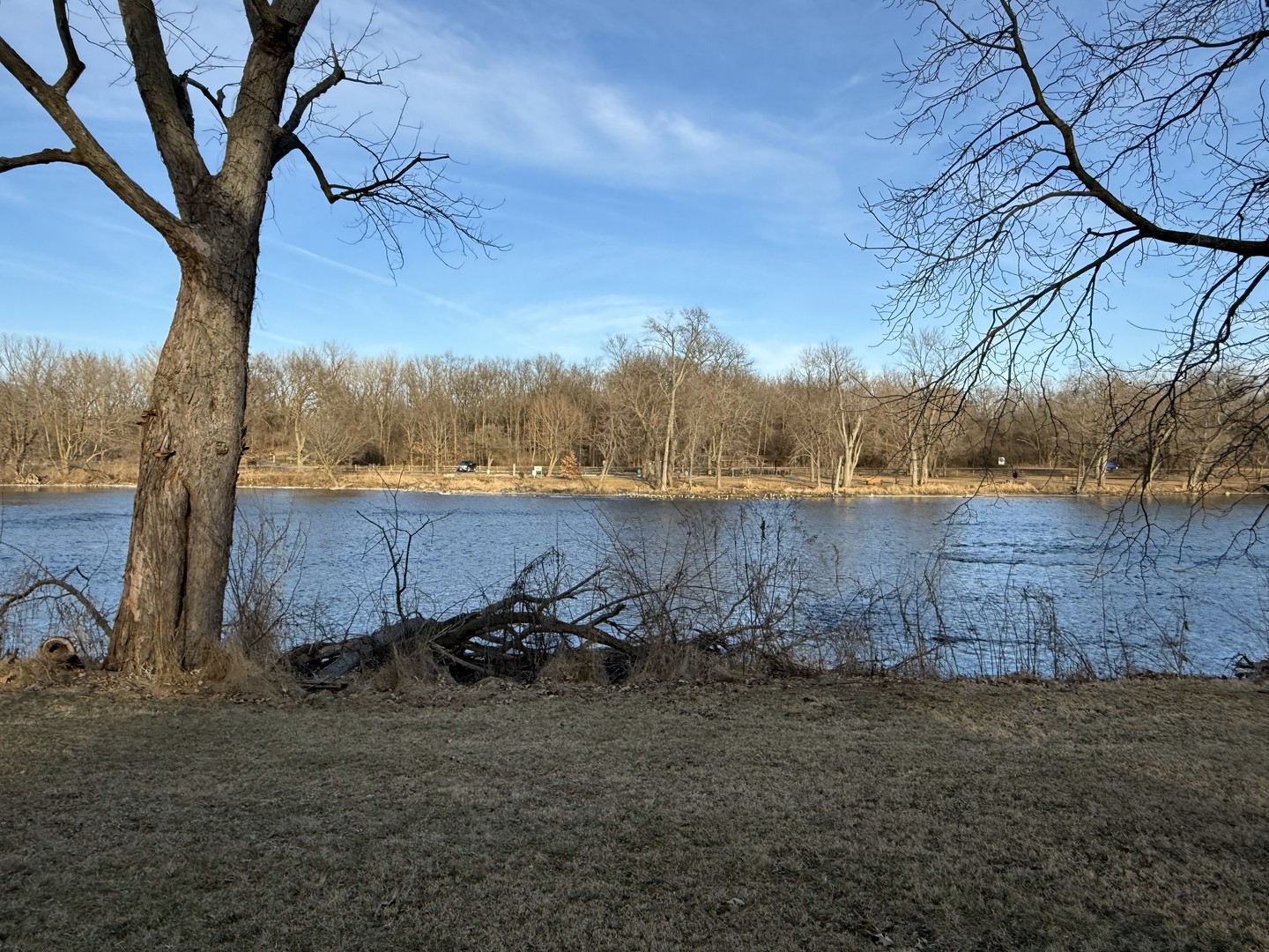 1430 State Rte 31 Oswego, IL 60543 - Photo 2 of 3 a view of a yard
