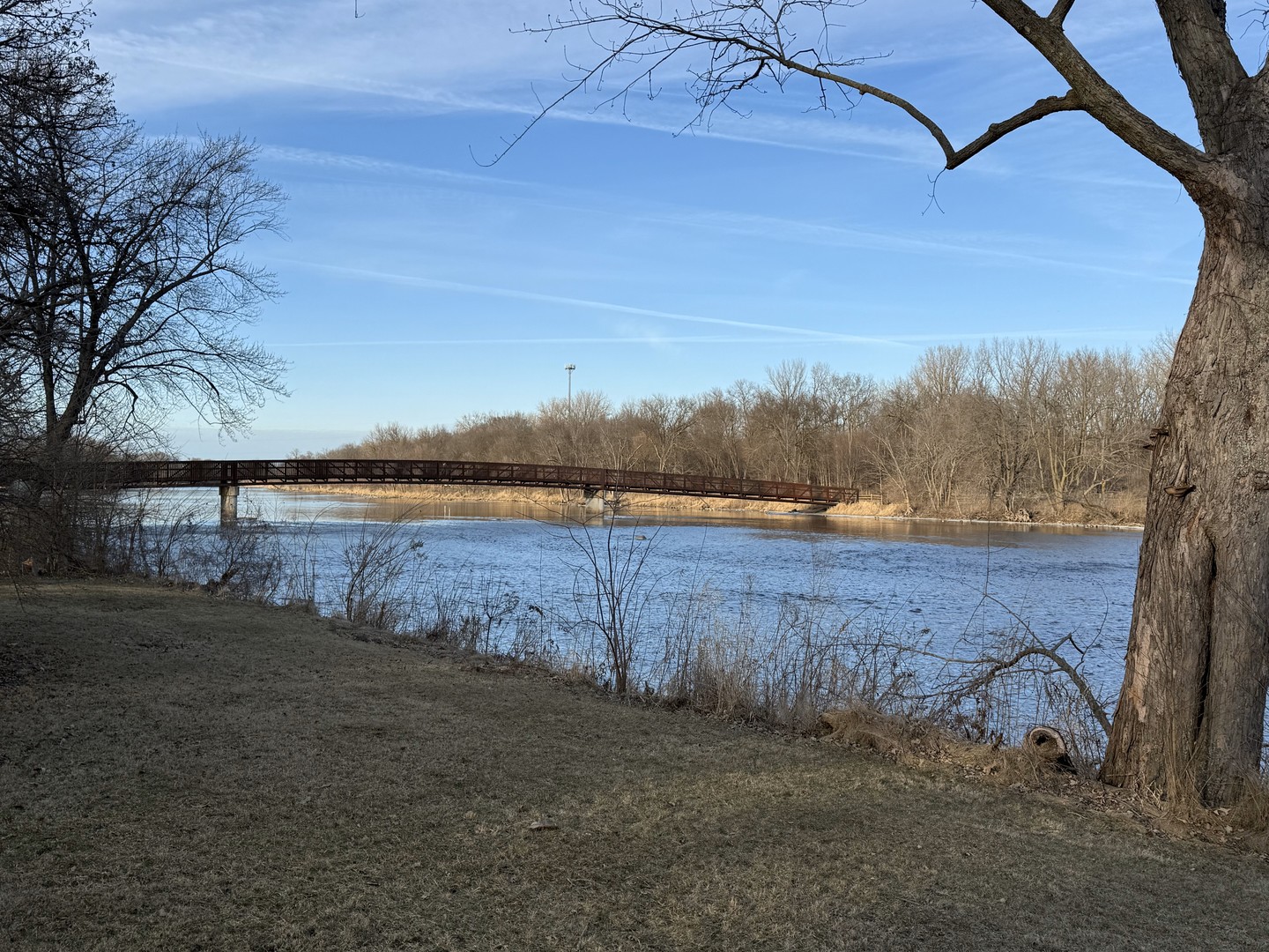 1430 State Rte 31 Oswego, IL 60543 - Photo 3 of 3 a view of a backyard