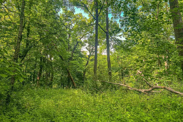 $350,000 | 22.72-acres County Road A, Blanchardville, WI 53516