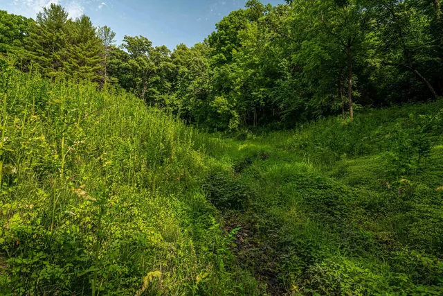 $350,000 | 22.72-acres County Road A, Blanchardville, WI 53516