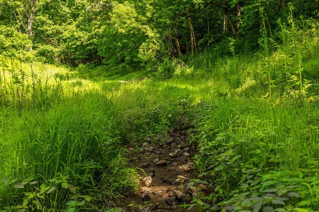 $350,000 | 22.72-acres County Road A, Blanchardville, WI 53516