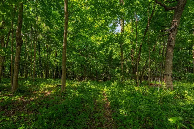 $350,000 | 22.72-acres County Road A, Blanchardville, WI 53516