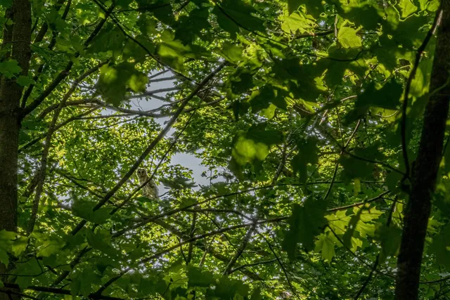 $350,000 | 22.72-acres County Road A, Blanchardville, WI 53516