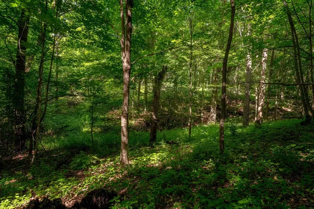 $350,000 | 22.72-acres County Road A, Blanchardville, WI 53516