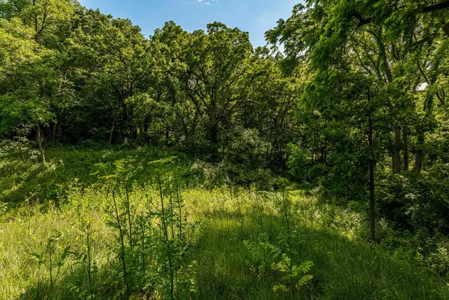 $350,000 | 22.72-acres County Road A, Blanchardville, WI 53516