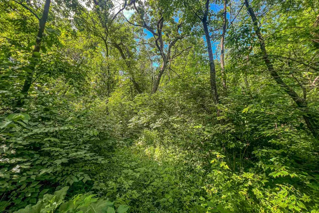 $350,000 | 22.72-acres County Road A, Blanchardville, WI 53516