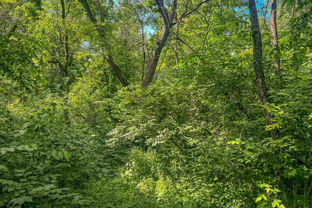 $350,000 | 22.72-acres County Road A, Blanchardville, WI 53516