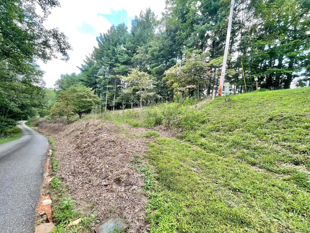 393 Kanawha Ridge Road Dugspur, VA 24325 - Photo 26 of 29 Gallery Image 26