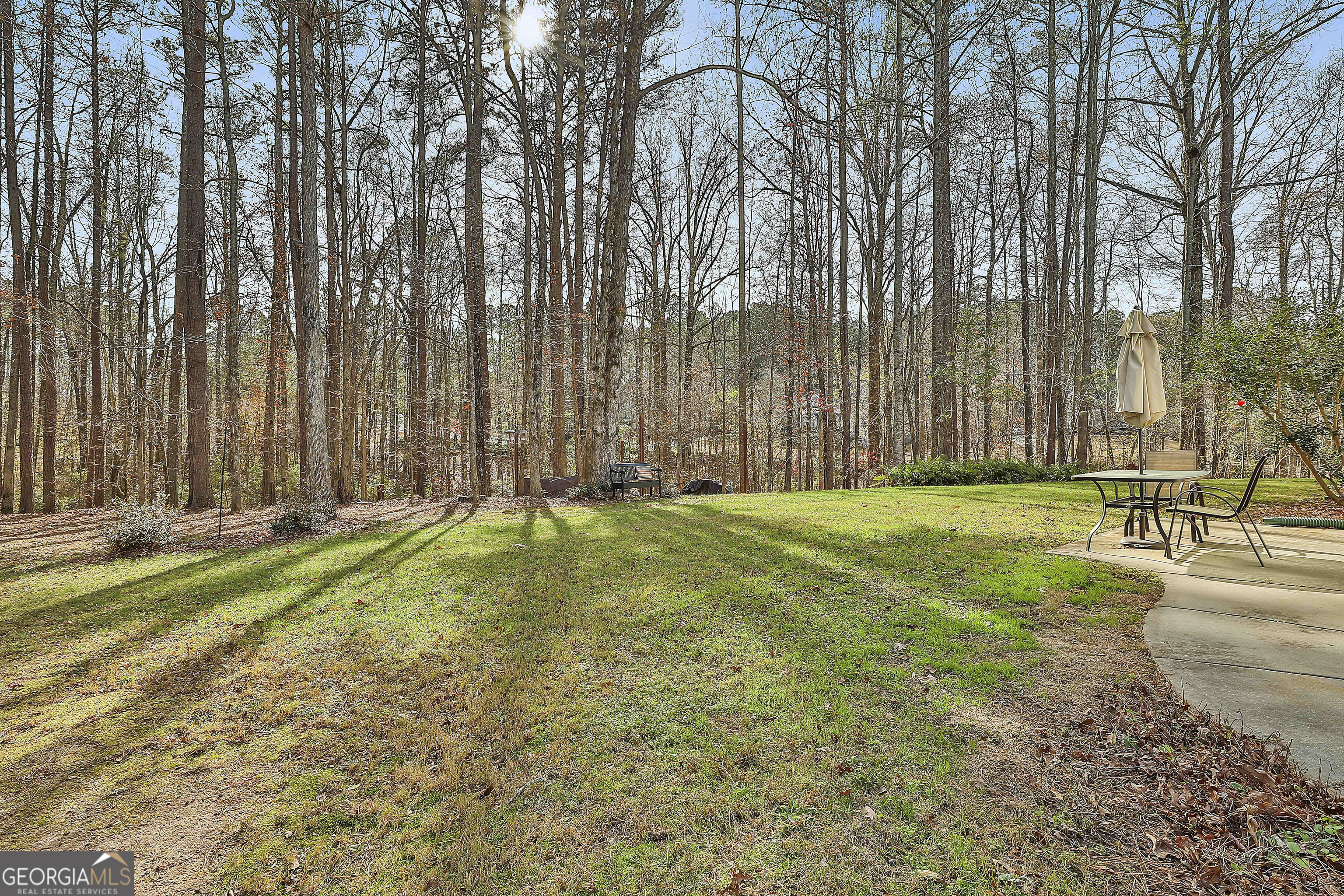 108 Tullamore Trail Tyrone, GA 30290 - Photo 48 of 52