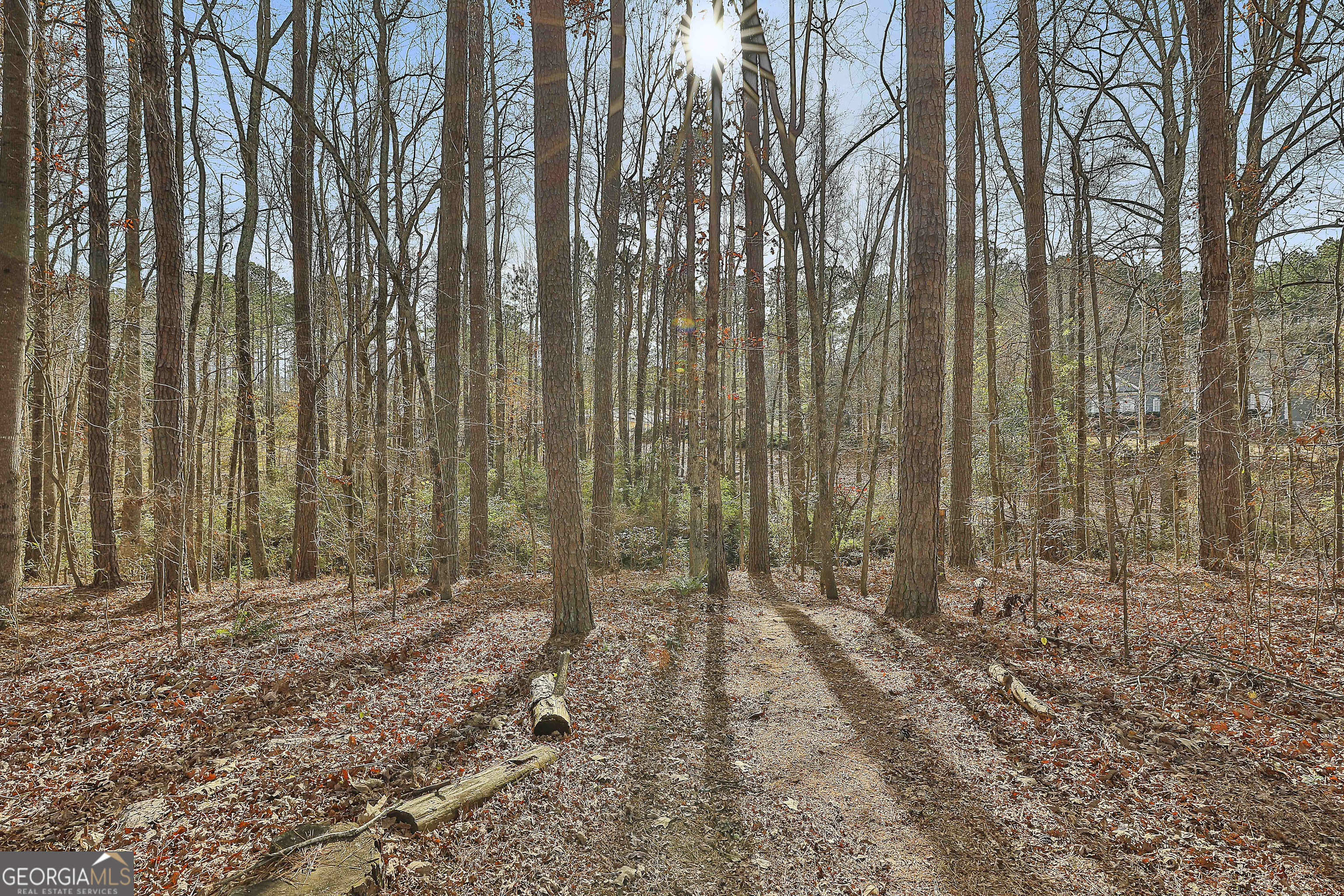 108 Tullamore Trail Tyrone, GA 30290 - Photo 52 of 52