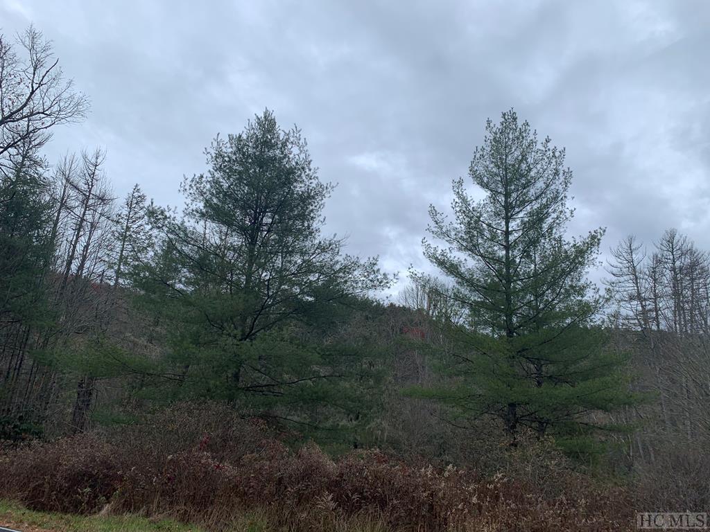 Tdb Tdb Salt Rock Road Cullowhee, NC 28723 - Photo 1 of 1 Gallery Image 1