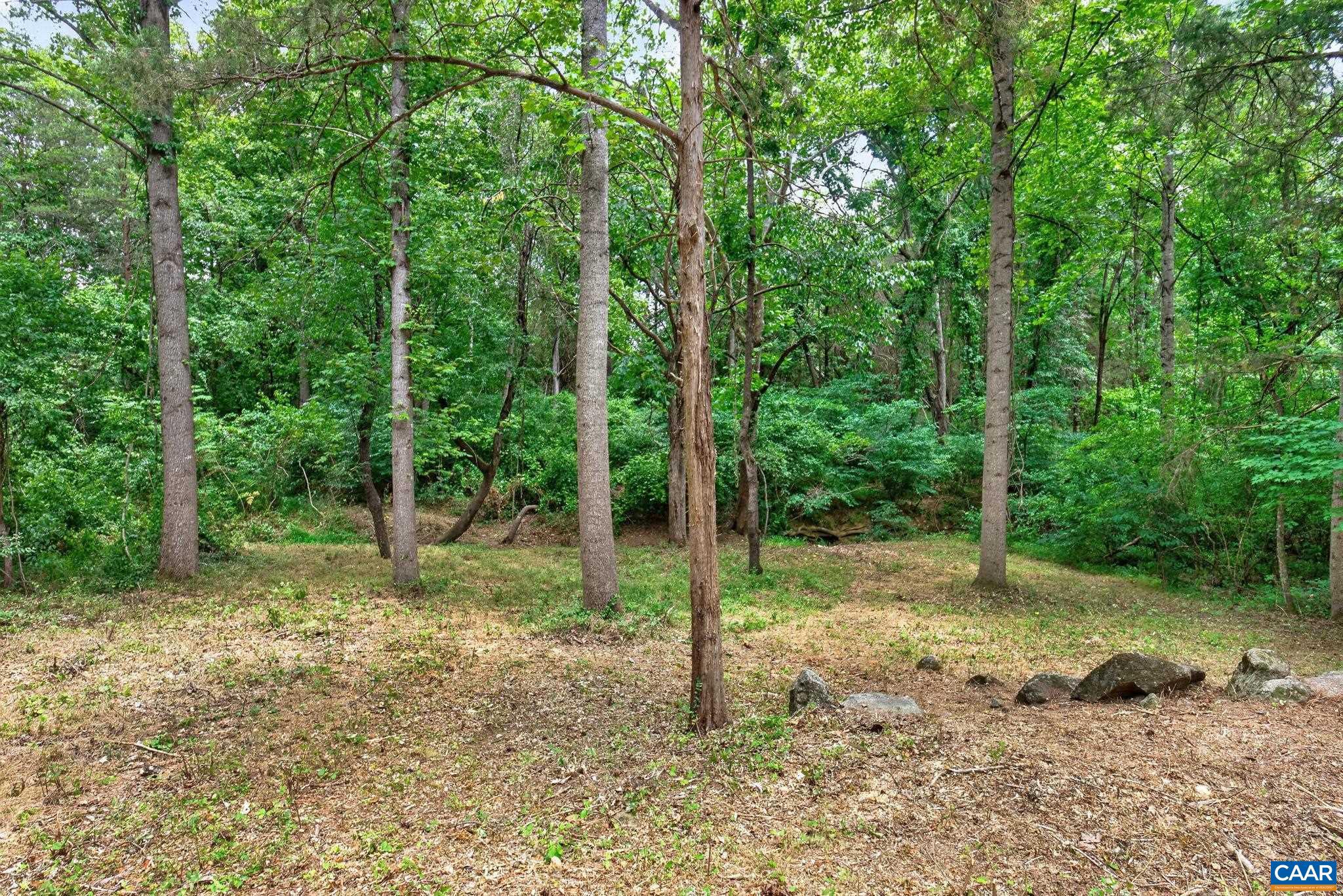 6285 Jarmans Gap Road Crozet, VA 22932 - Photo 51 of 65 a view of a yard with a tree