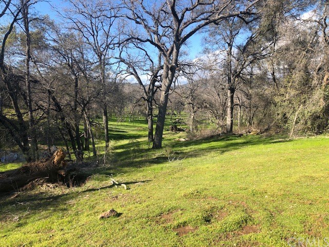 5246 Allred Road Mariposa, CA 95338 - Photo 19 of 28 Gallery Image 19
