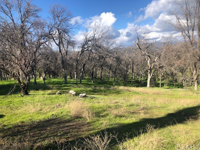 5246 Allred Road Mariposa, CA 95338 - Photo 22 of 28 Gallery Image 22
