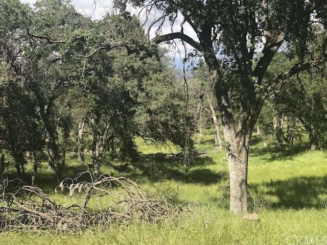 5246 Allred Road Mariposa, CA 95338 - Photo 26 of 28 Gallery Image 26