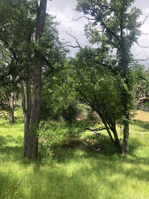 5246 Allred Road Mariposa, CA 95338 - Photo 5 of 28 Gallery Image 5