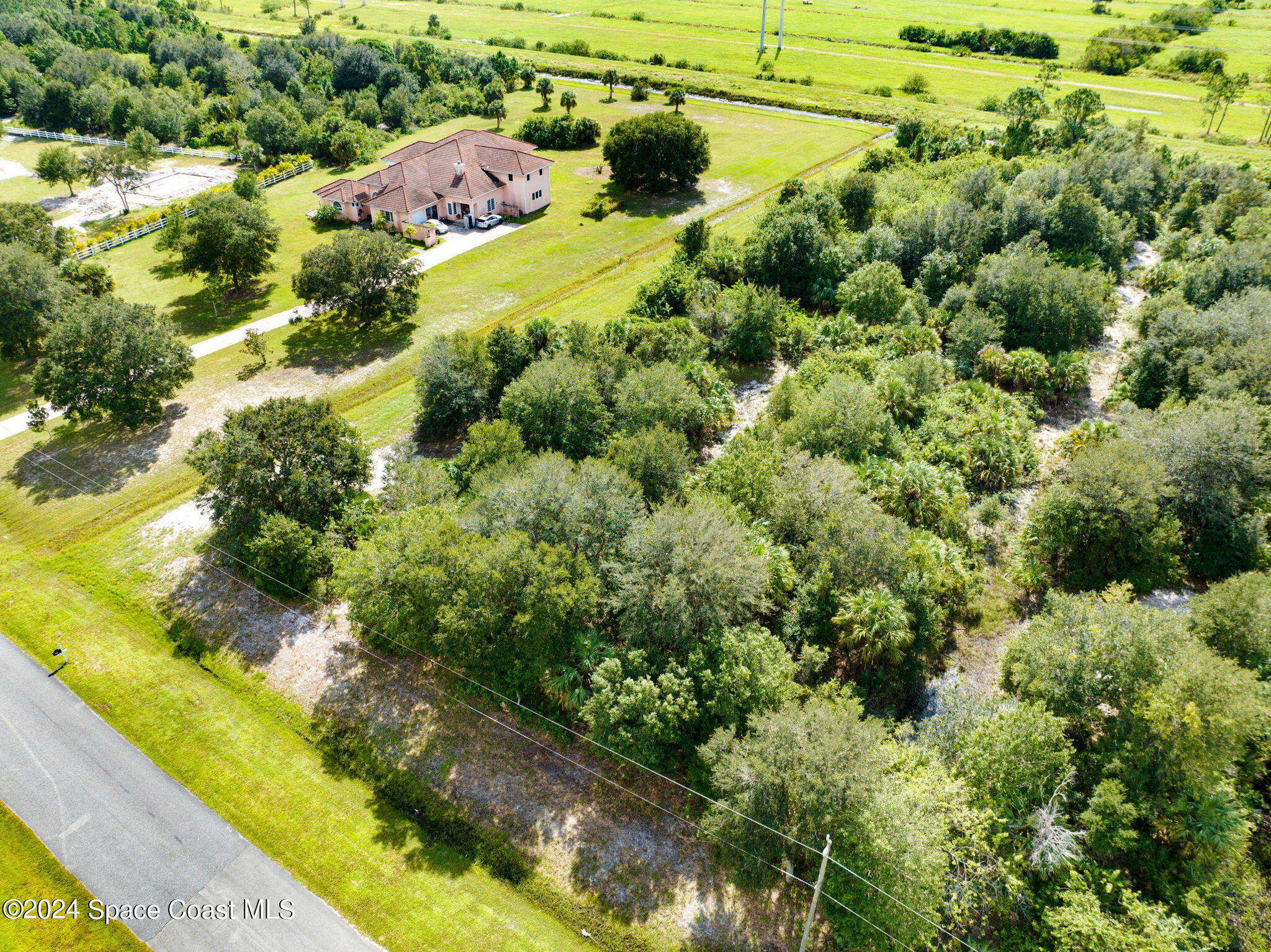 147 Deer Run Road Palm Bay, FL 32909 - Photo 3 of 8 a view of a bunch of trees and bushes