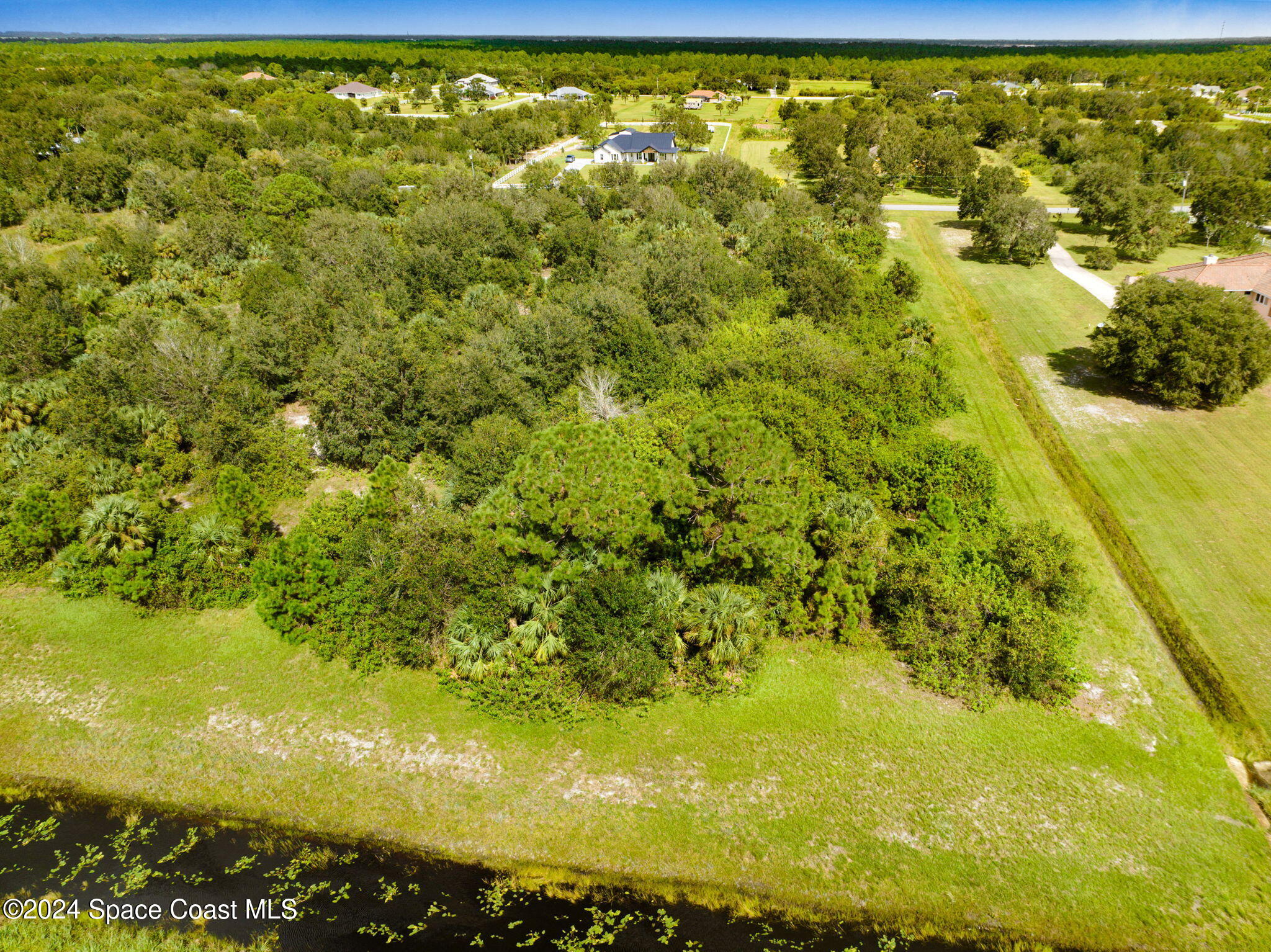 147 Deer Run Road Palm Bay, FL 32909 - Photo 5 of 8 a view of a yard