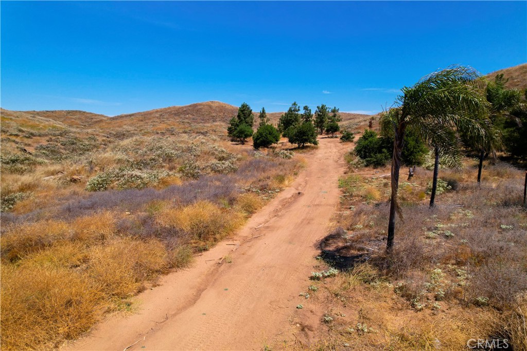 39282 San Ignacio Road Hemet, CA 92544 - Photo 18 of 21 a view of a yard with a tree