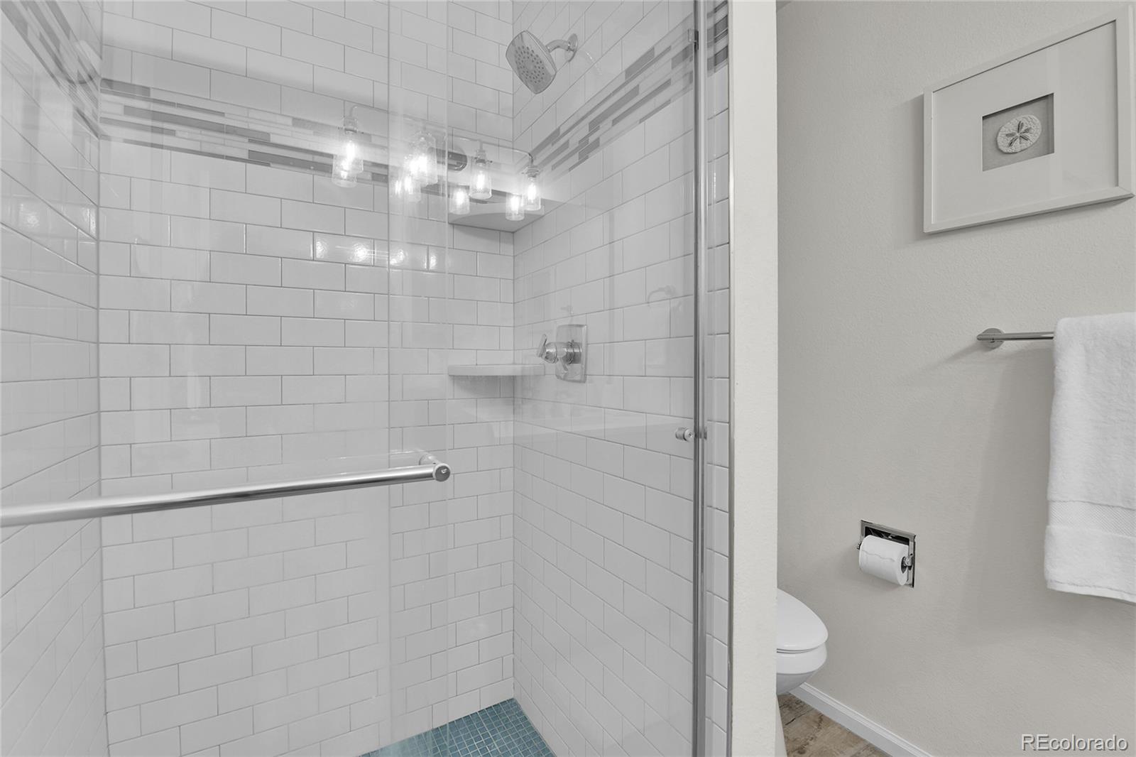 9851 South Castle Ridge Circle Highlands Ranch, CO 80129 - Photo 18 of 30