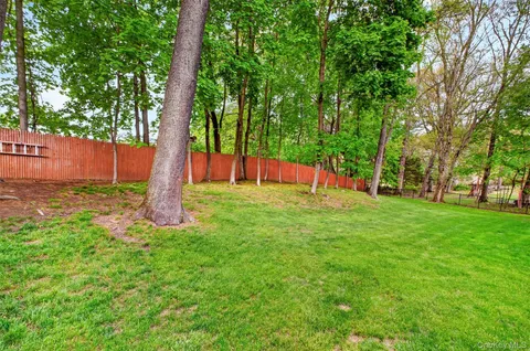 a view of backyard with tree