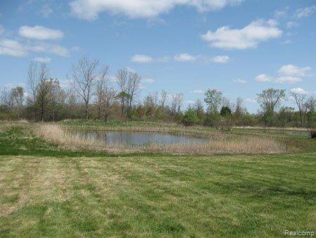 6446 Short Cut Road Marine City, MI 48039 - Photo 4 of 22 IMG_0376.jpg