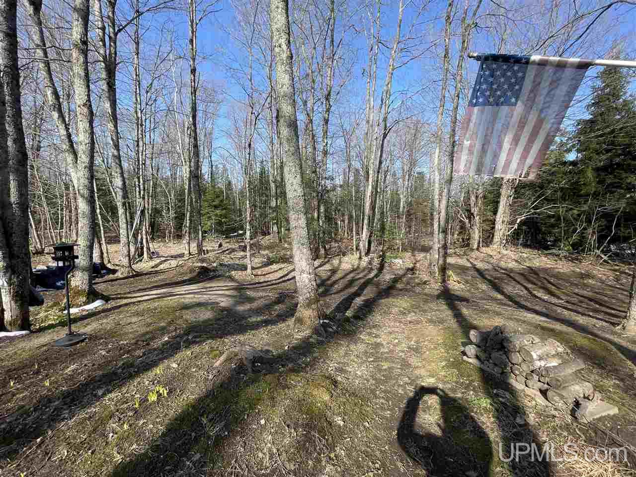 5393 North Rumley Road Skandia, MI 49885 - Photo 39 of 48