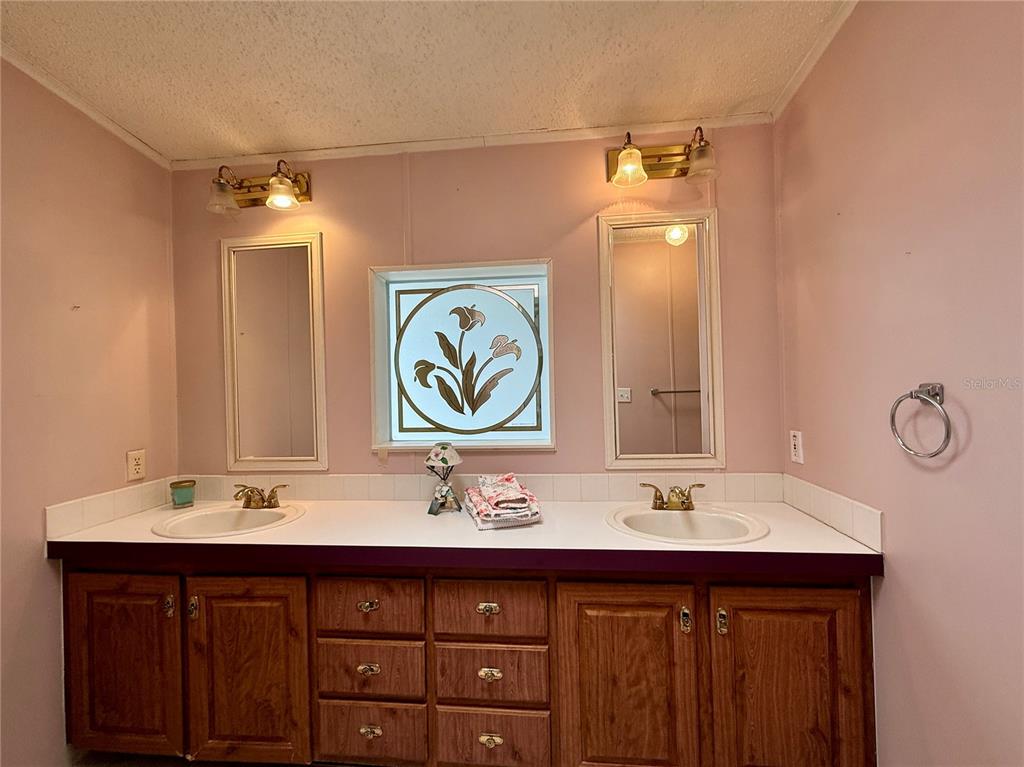 222 North St George Circle Apollo Beach, FL 33572 - Photo 12 of 33 a bathroom with a sink and a mirror