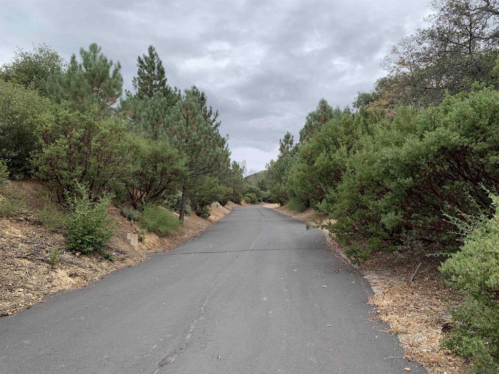 0 West Incense Cedar Road Julian, CA 92036 - Photo 11 of 20 a view of a road with a trees in the background