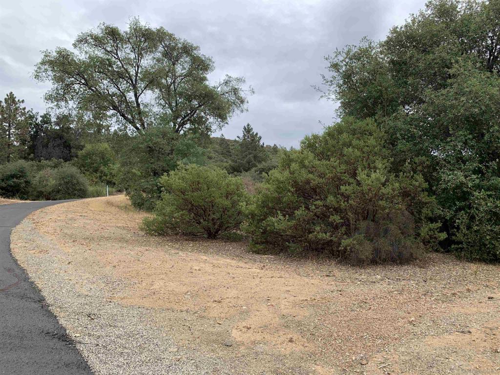 0 West Incense Cedar Road Julian, CA 92036 - Photo 12 of 20 a view of outdoor space and yard