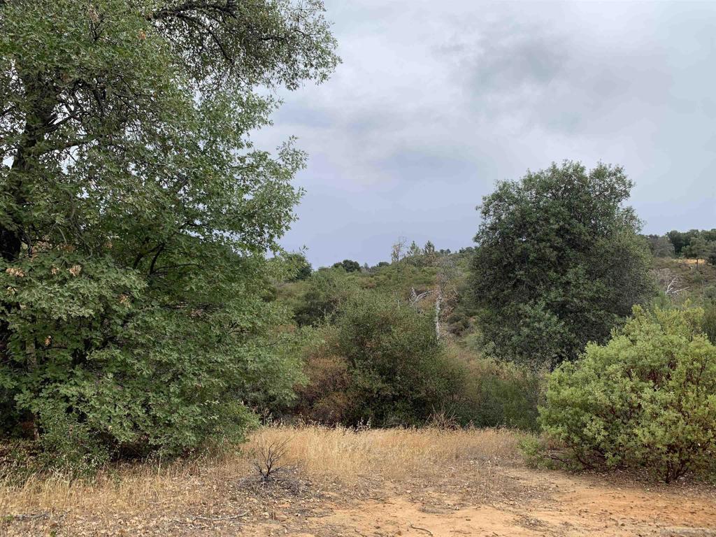 0 West Incense Cedar Road Julian, CA 92036 - Photo 15 of 20 a view of a yard with a tree