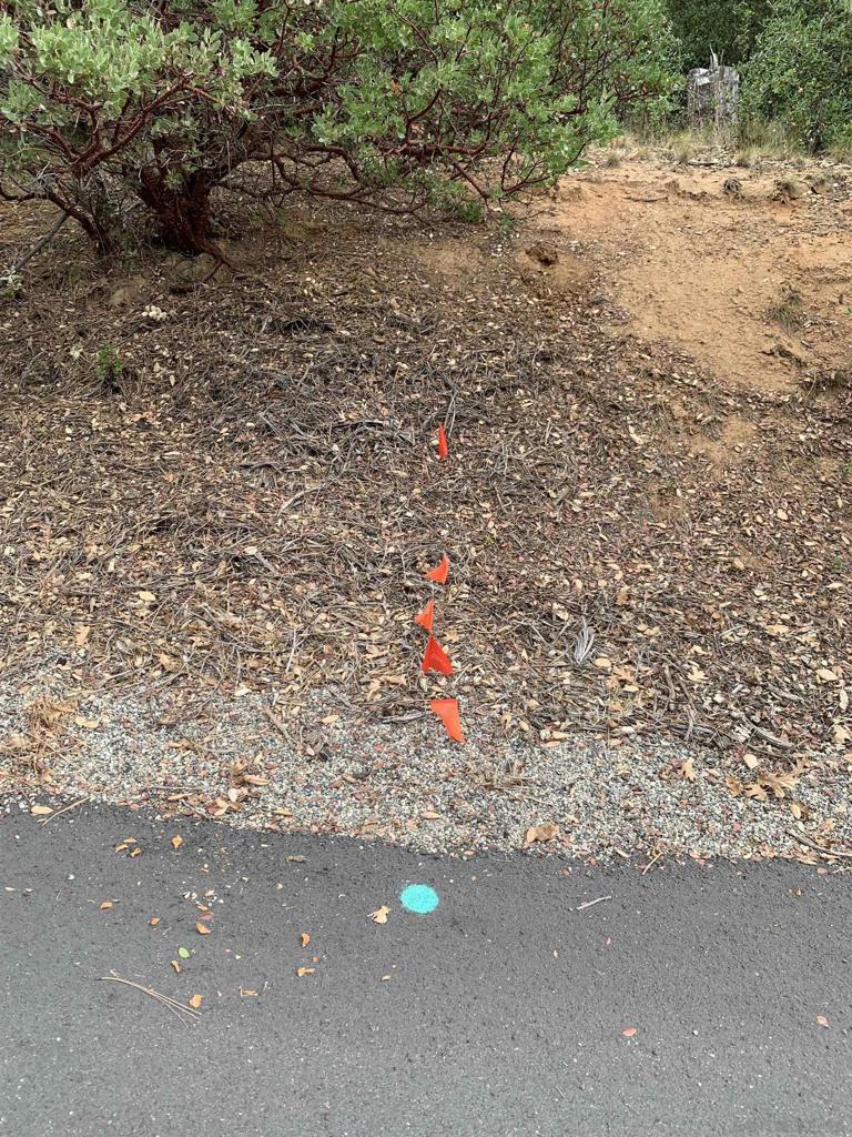 0 West Incense Cedar Road Julian, CA 92036 - Photo 20 of 20 a view of road with an outdoor space