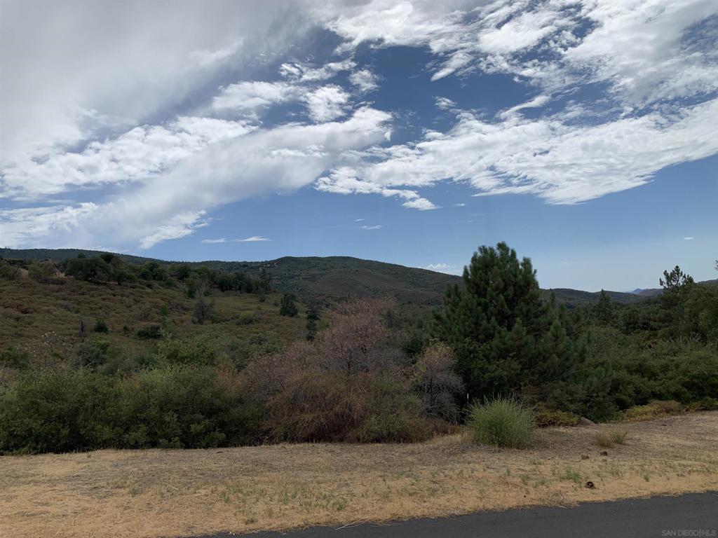 0 West Incense Cedar Road Julian, CA 92036 - Photo 7 of 20 a view of a yard with an outdoor space