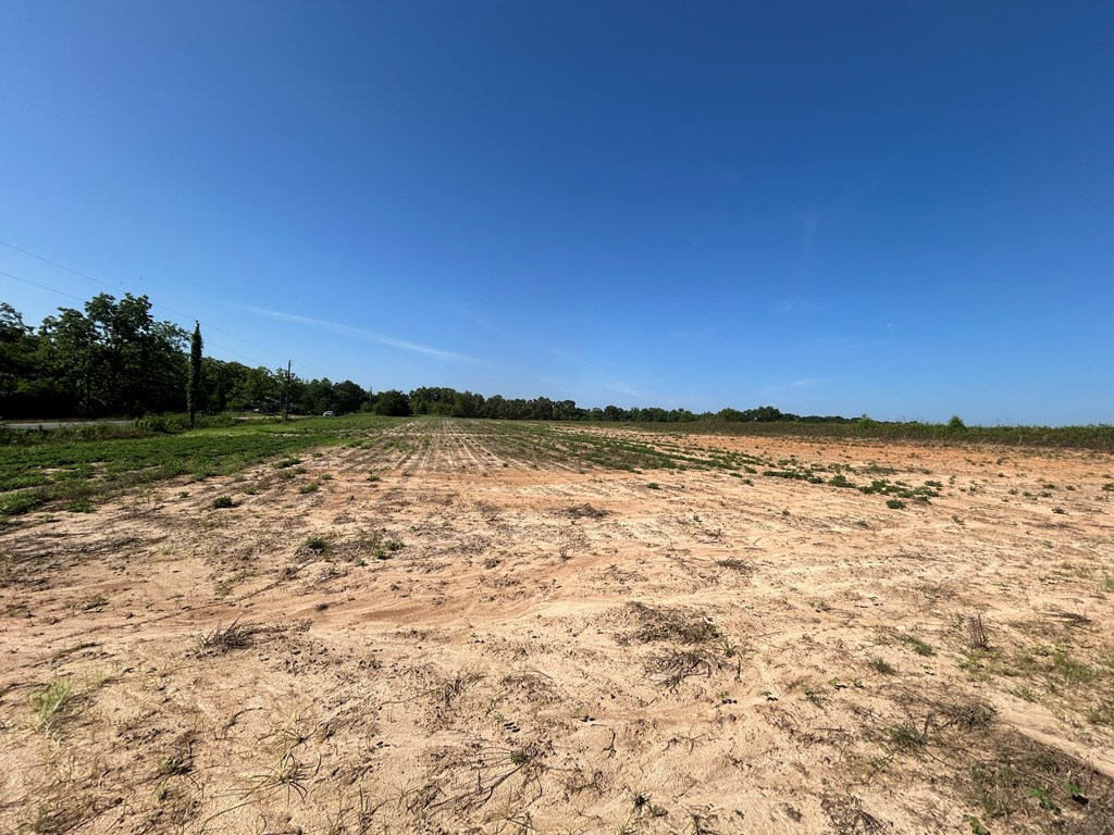 40.522-ac Cecil Varnum Road Dothan, AL 36301 - Photo 37 of 38