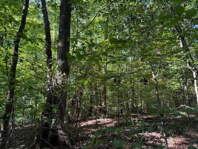 5 Mullins Cove Road Whitwell, TN 37397 - Photo 8 of 16 Gallery Image 8