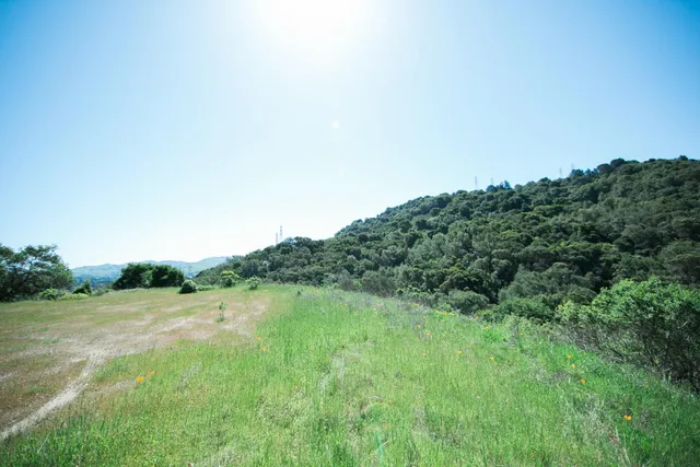 a view of a lake with a city