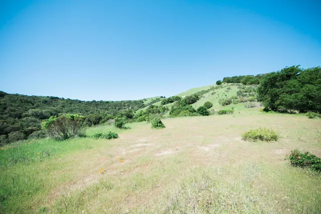 a view of a lake with a houses