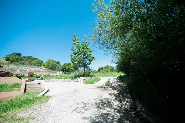 a view of a garden with a building in the background