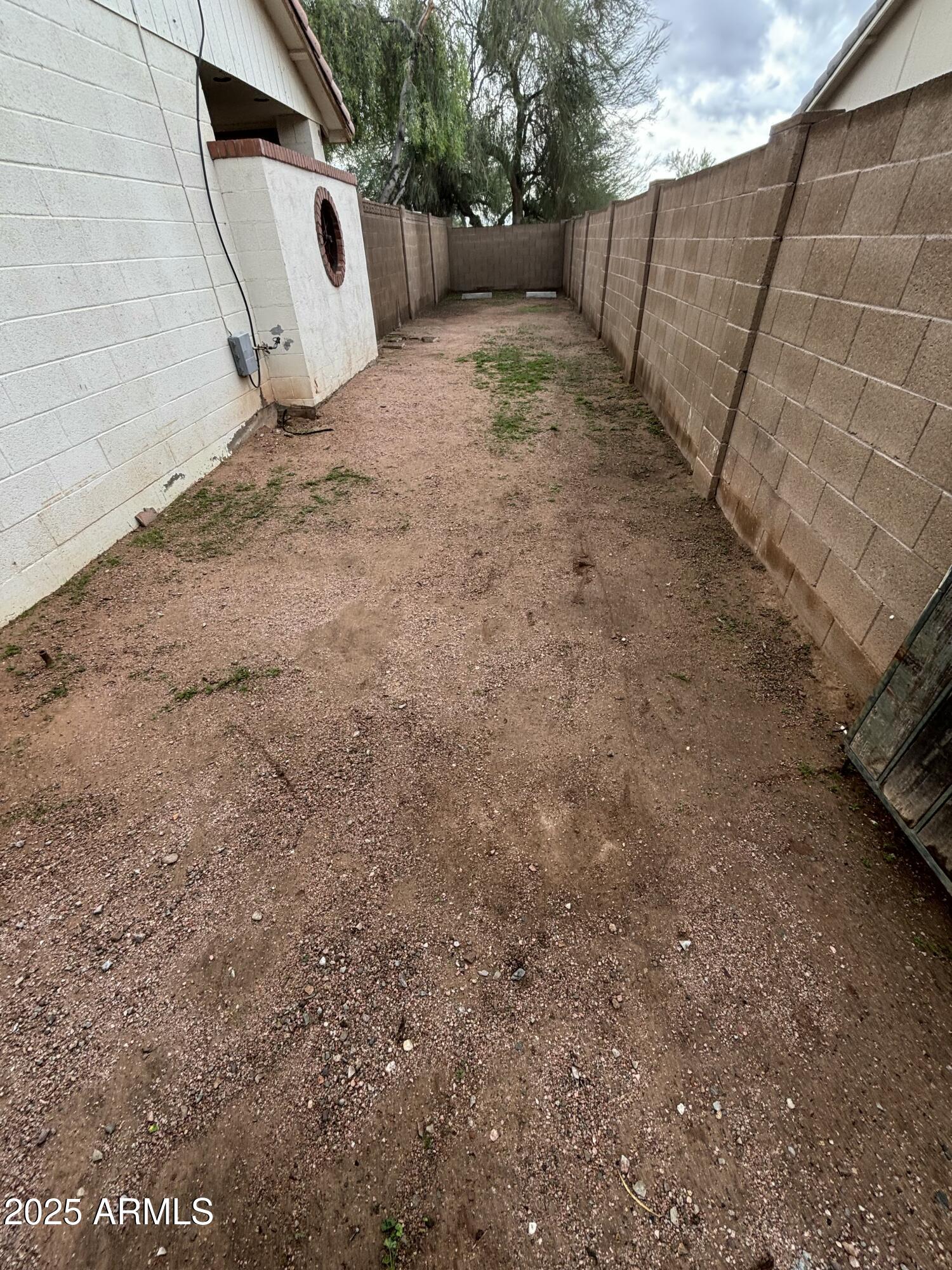1443 West 14th Avenue Apache Junction, AZ 85120 - Photo 19 of 21 a view of a backyard