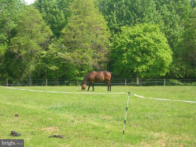 2910 Dublin Road Street, MD 21154 - Photo 17 of 30 Plenty of Space for Horses