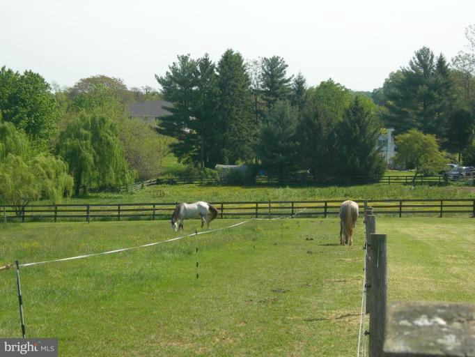 2910 Dublin Road Street, MD 21154 - Photo 18 of 30 Horses--No HOA and NO Restrictions.