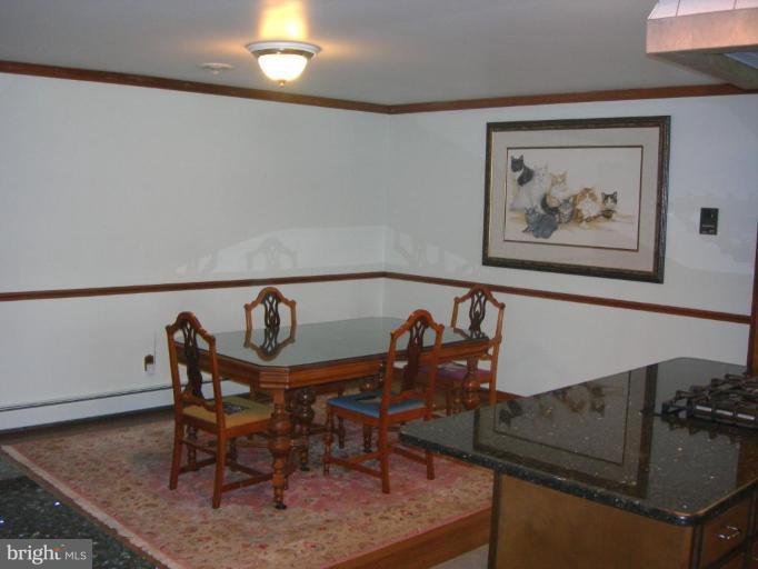 2910 Dublin Road Street, MD 21154 - Photo 3 of 30 Large Dining Area in Kitchen