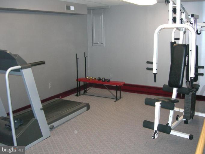2910 Dublin Road Street, MD 21154 - Photo 9 of 30 Exercise Room