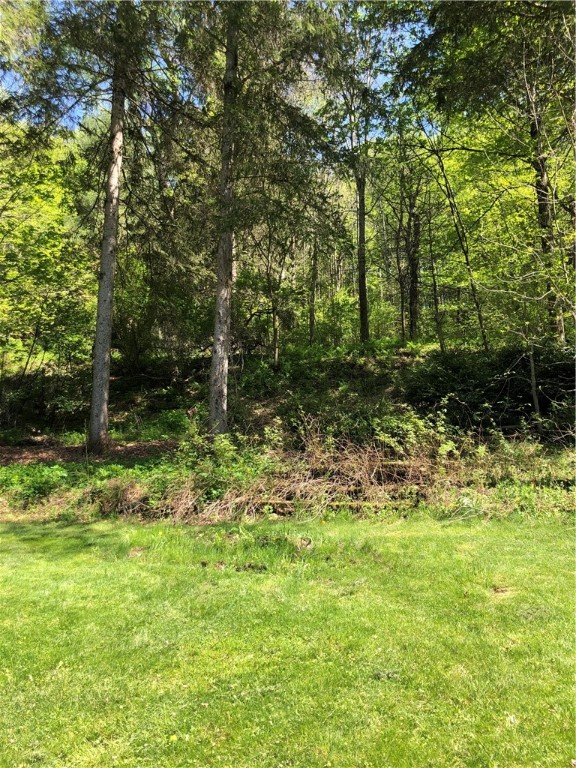 816 Main Street Franklin, NY 13775 - Photo 42 of 44